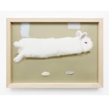 ほわうさぎ | Fluffy Bunny